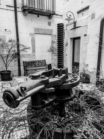 fotografia di Lorenzo Poletto