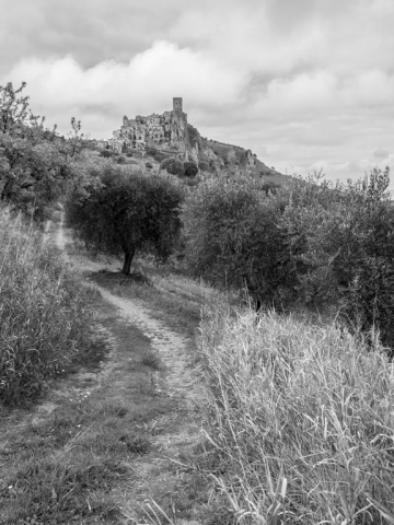 fotografia di Lorenzo Poletto