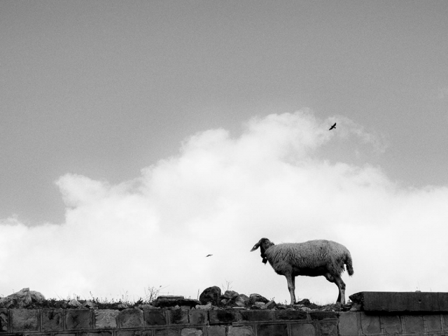 Fotografie di Ugo Baldassarre