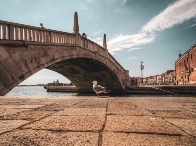 fotografia di Mia Battaglia - Laowa 9mm f/2.8 - HDR