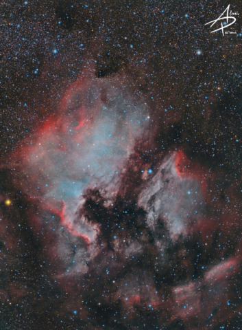 Nebulose Nord America e Pellicano