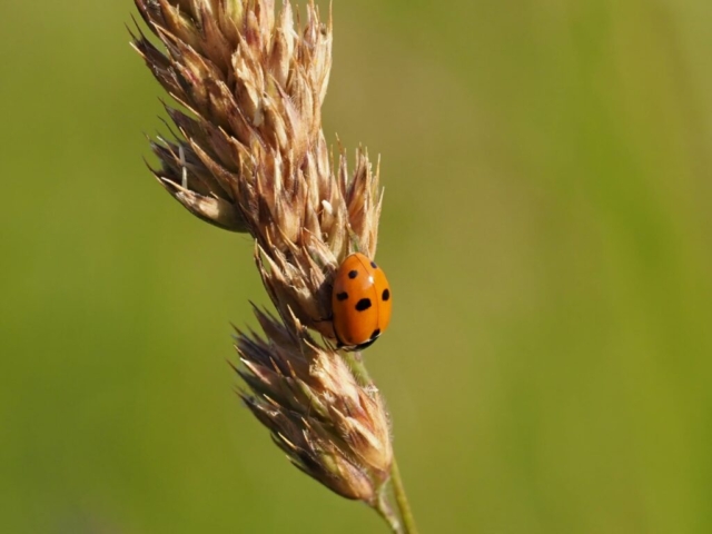 fotografia di Marco Lazzarelli