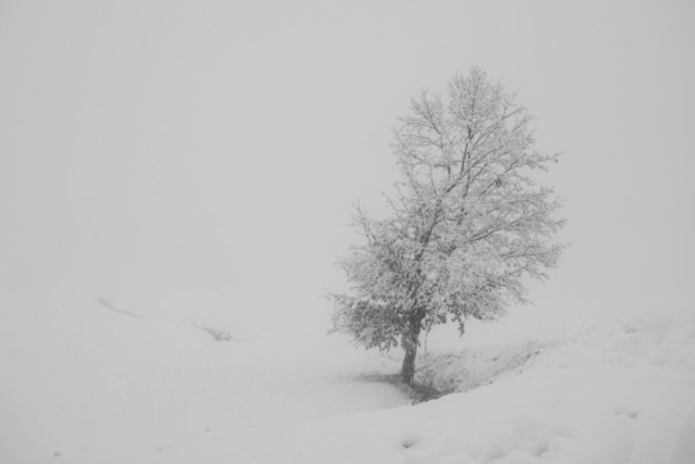 _C080030