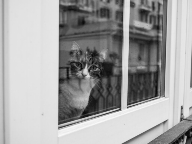 fotografia di Angela Ravaioli