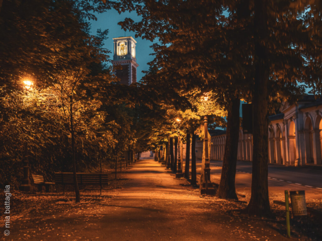 Vicenza (Italy)