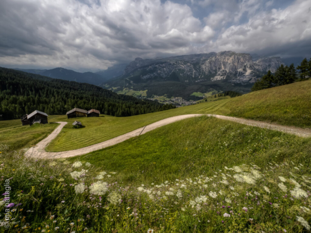 Badia (BZ)