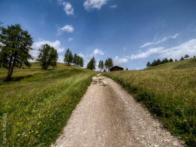 Badia (BZ)