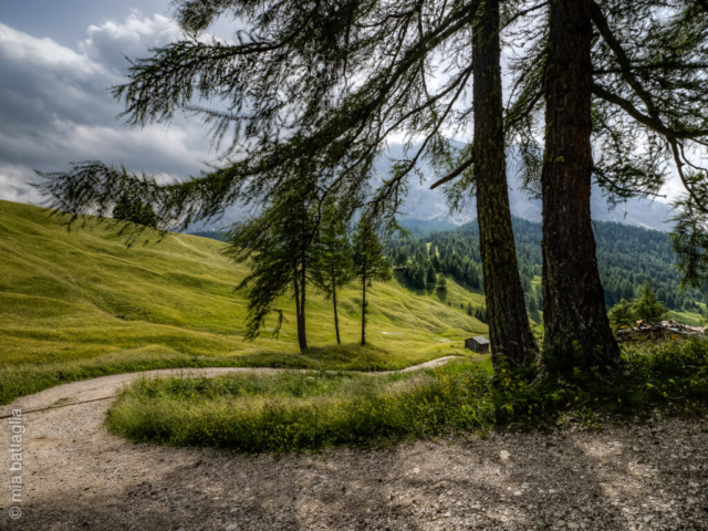 Badia (BZ)