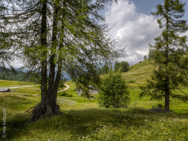 Badia (BZ)