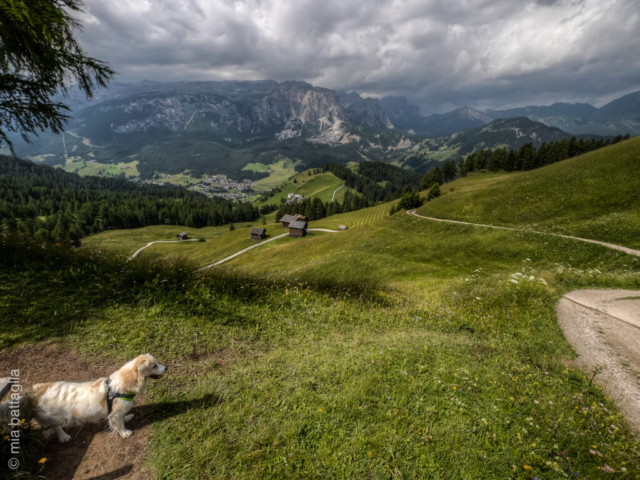 Badia (BZ)
