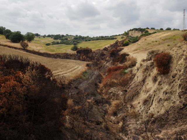Verso Tursi - Olympus OM-D E-M10 mark IV - Zuiko Pro 8-25mm f/4