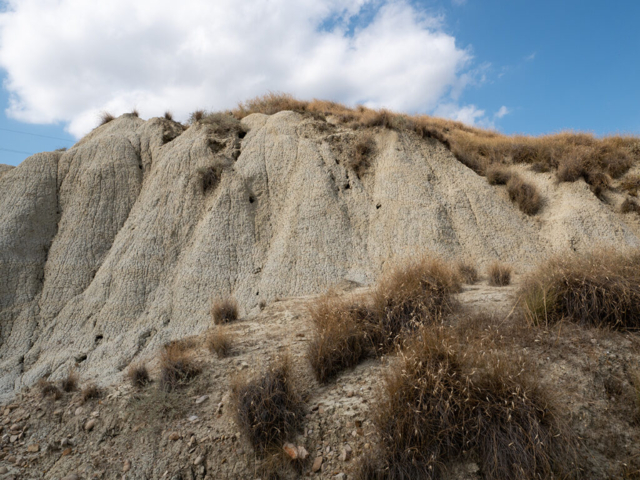 zona Pisticci - Olympus OM-D E-M10 mark IV - Zuiko Pro 8-25mm f/4
