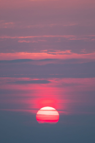 Fotografia di Marco Bertolini - Olympus OM-D E-M1 mark II + Zuiko 300 mm Pro f/4 IS