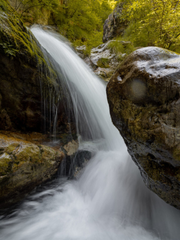 Fotografia di Nick Gritti - Test OM-D E-M1 mark III