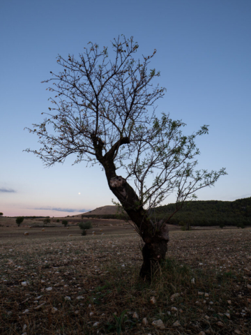 Fotografia di Ugo Baldassarre - 2022