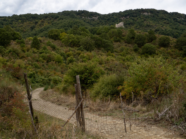la Pietra del Corvo, bosco di Montepiano