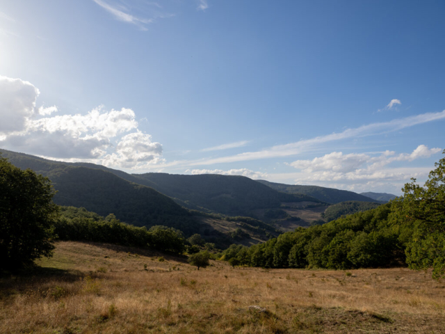scorcio del bosco di Montepiano andando verso Serra del Garbo