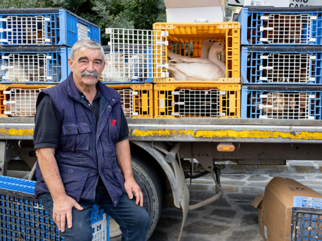 un commerciante di bestiame (di piccolo taglio) venuto in paese per la fiera