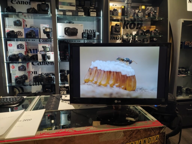 Fotolandia - Polyphoto Day 11-12 Novembre 2022