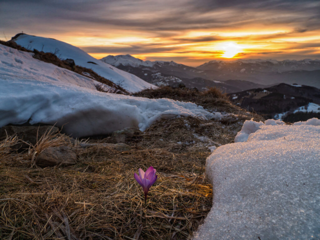 Fotografia di Andrea Lazzarelli