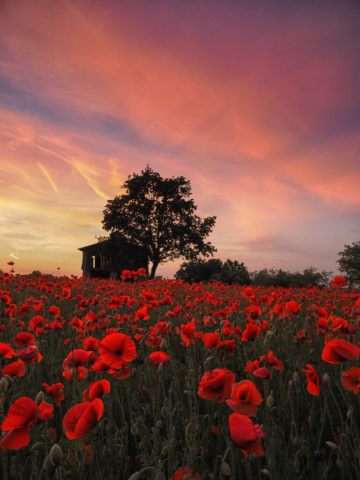 Fotografia di Andrea Lazzarelli