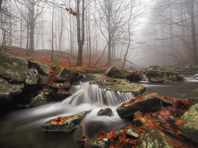 Fotografia di Andrea Lazzarelli