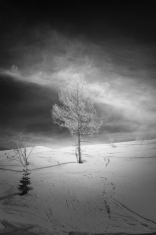 Fotografia di Alessandro Russo
