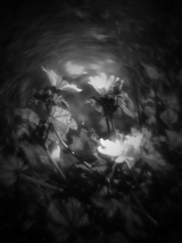 Fotografia di Alessandro Russo