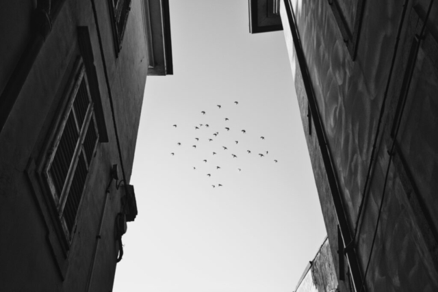 Fotografia di Alessandro Russo