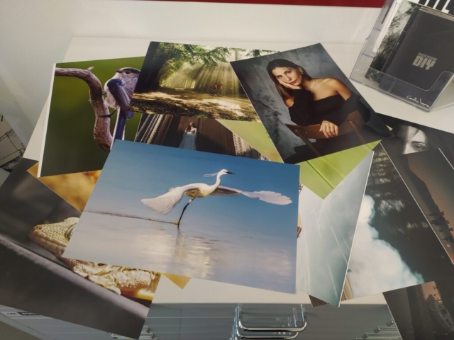 Evento Polyphoto 17 Dicembre - NOC Milano