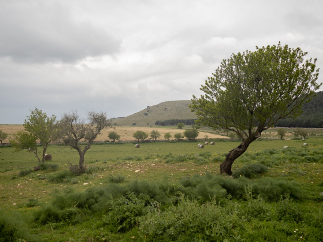 Puglia, 2023 - OM System OM-5