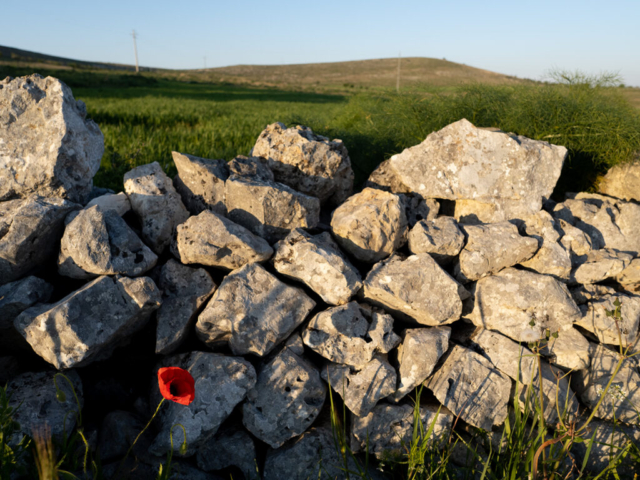 Puglia, 2023 - OM System OM-5
