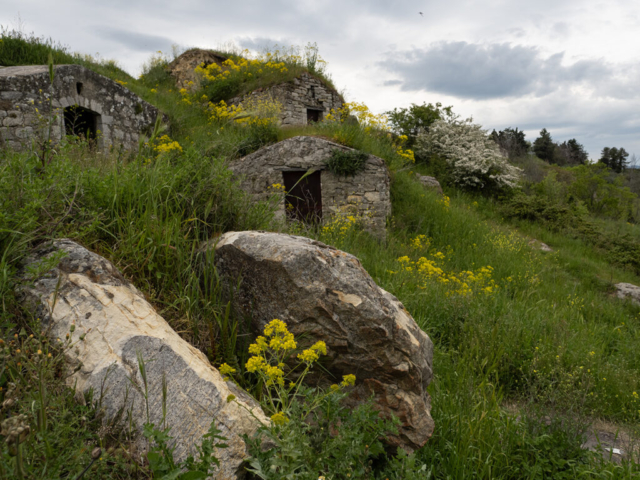 Pietragalla (PZ) - fotografia di Ugo Baldassarre - OM System OM-5
