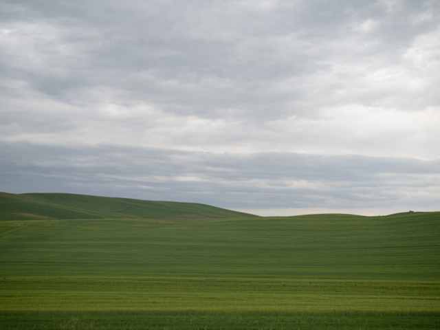 Basilicata - fotografia di Ugo Baldassarre - OM System OM-5