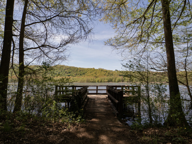 Laghi di Monticchio (PZ) - fotografia di Ugo Baldassarre - OM System OM-1