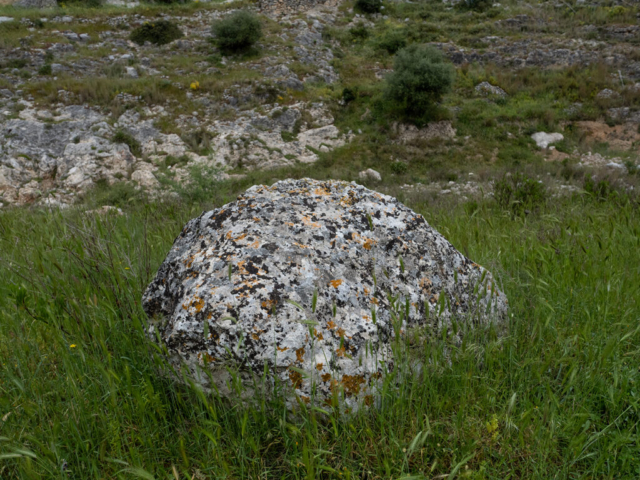 Gravina di Ginosa - Fotografia di Ugo Baldassarre - OM System OM-5