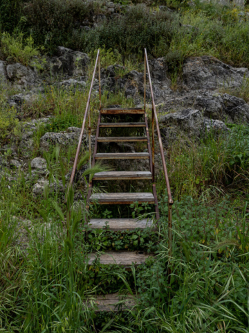 Gravina di Ginosa - Fotografia di Ugo Baldassarre - OM System OM-5