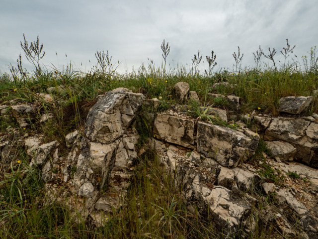 Parco della Murgia , Matera - fotografia di Ugo Baldassarre - OM System OM-1