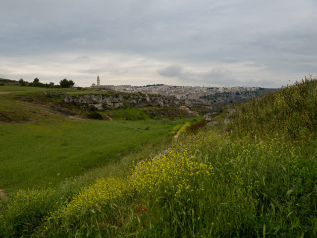 Parco della Murgia , Matera - fotografia di Ugo Baldassarre - OM System OM-1