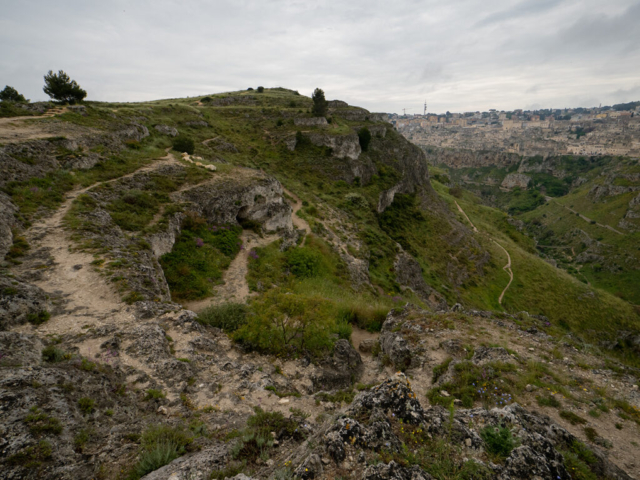 Parco della Murgia , Matera - fotografia di Ugo Baldassarre - OM System OM-1