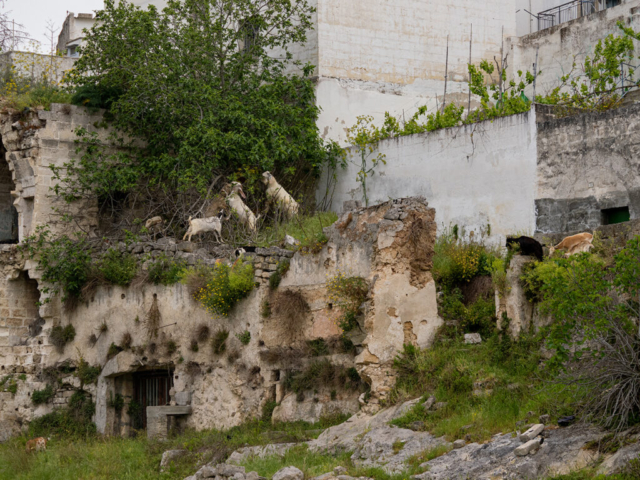 Gravina di Ginosa - fotografia di Ugo Baldassarre - OM System OM-1