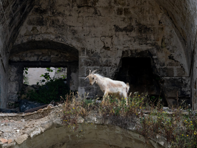 Gravina di Ginosa - fotografia di Ugo Baldassarre - OM System OM-1