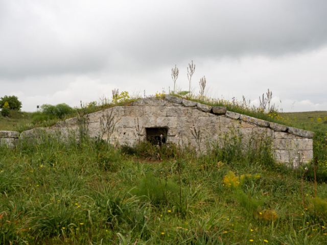 Parco della Murgia, Matera - Fotografia di Giulio Paravani - OM System OM-1