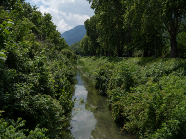 Panasonic Lumix G9 II - Leica DG Vario Emarit 12-60mm f/2.8-4 OIS