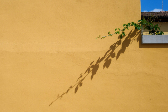 Fotografia di Angelo Riberti