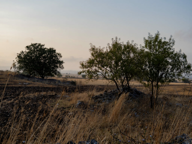 Puglia | OM5- II + OM 14-150mm f/4 - 5.6 ED - Ugo Baldassarre
