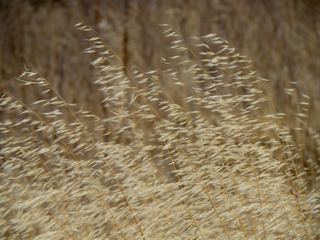 Puglia | OM5- II + OM 14-150mm f/4 - 5.6 ED - Ugo Baldassarre