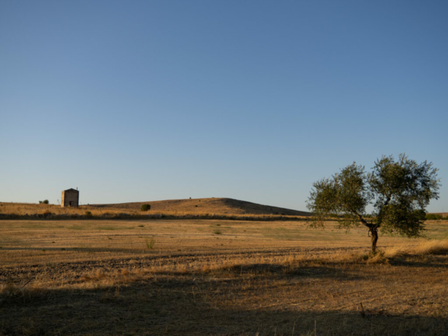 Puglia | OM5- II + OM 14-150mm f/4 - 5.6 ED - Ugo Baldassarre