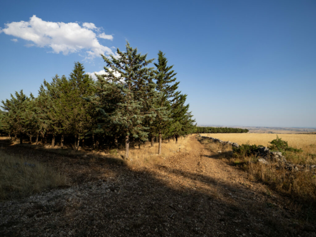 Puglia | OM5- II + OM 8-25mm f/4 Pro - Ugo Baldassarre