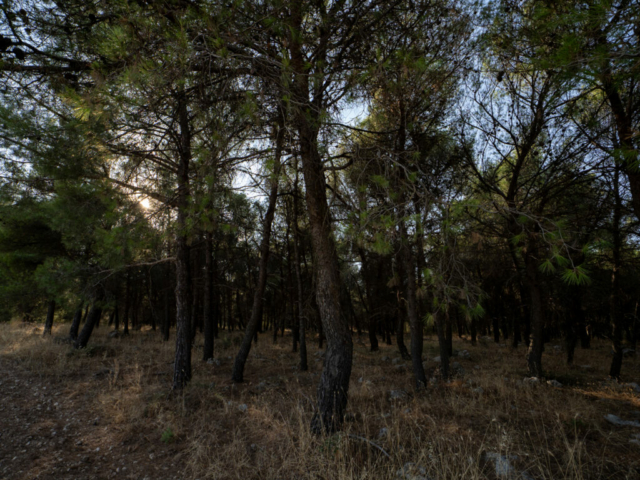 Puglia | OM5- II + OM 8-25mm f/4 Pro - Ugo Baldassarre